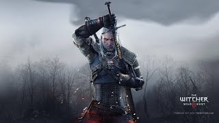 The Witcher III Wild Hunt Full Game Blood and Wine Side Quest Wine Wars thewitcher3 [upl. by Herminia]