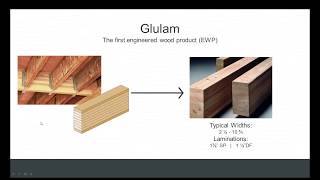 The Evolution of Glulam [upl. by Laved253]