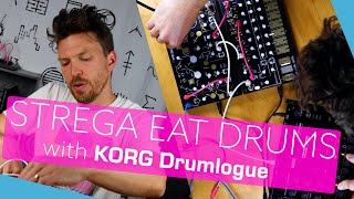 STREGA EAT DRUMS with Korg Drumlogue  Make Noise [upl. by Crista]