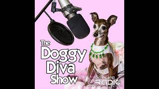 The Doggy Diva Show  Episode 171 Celebrating The Holidays Safely With Your Pets [upl. by Guillemette]