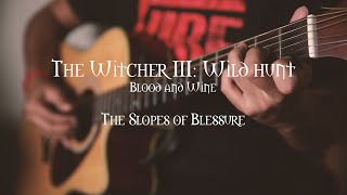 The Slopes of the Blessure  The Witcher 3 Soundtrack  Guitar Cover [upl. by Asylem]