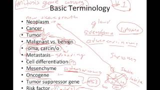 Introduction to Cancer [upl. by Anilet]