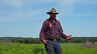 Ragweed Control in a Native Warm Season Grass Pasture [upl. by Centonze]