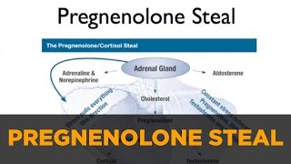 Optimizing Hormones Pregnenolone Steal DHEA amp Cortisol [upl. by Haymo237]