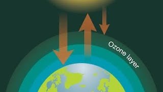 What Happened to Ozone Layer ozonelayer ozone youtubeshorts viralshorts hindi information [upl. by Melton]