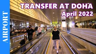 How to TRANSFER AT DOHA Airport Hamad International Airport  TRANSIT walk to connection flight [upl. by Attenol]