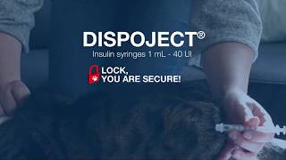 Dispoject Insulin Syringe [upl. by Rexanne893]