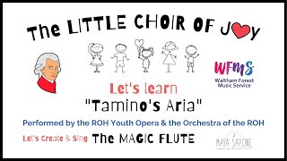 TAMINOs ARIA LYRICS Create amp Sing The Magic Flute  The LITTLE CHOIR Of JOY [upl. by Ochs]