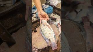 Amazing Tilapia Fish Cutting Skills  Fish Cutting Live  Fish Cutting Video shorts [upl. by Nagek]