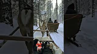 Christmas 🎅🎁💐chirtmas santa clauss snowfall ☃️🌨️youtubeshorts [upl. by Afital464]