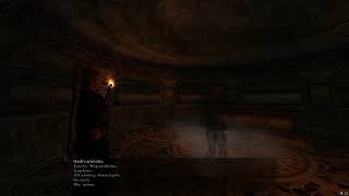 Gothic 2 Noc Kruka  Rozmowa z Quarhodronem Poprawne odpowiedzi [upl. by Dnomyaw9]