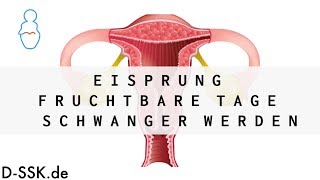 Alkohol während der Schwangerschaft Das lebenslange Leiden der Kinder  SPIEGEL TV [upl. by Noedig]