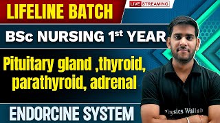 Pituitary Gland  Thyroid  Parathyroid  Adrenal  Endorcine System  BSc Nursing  Lifeline Batch [upl. by Heise]