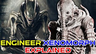 Space Jockey Xenomorph Explained  Is This The Ultimate Xenomorph The True Perfect Organism [upl. by Eelirrem]