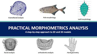 1 Morphometrics Analysis Understanding Morphometrics concept [upl. by Lirrehs]