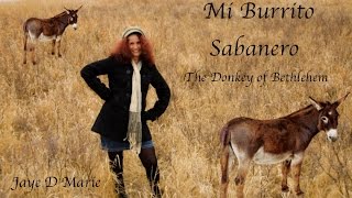 Mi Burrito Sabanero  Jaye D Marie [upl. by Nordine]