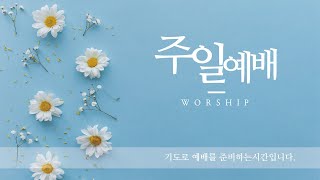 신월벧엘교회 20241110 주일예배  골로새서강해 14 엔딩 크레딧Ending credits  김도형 목사 [upl. by Wera]