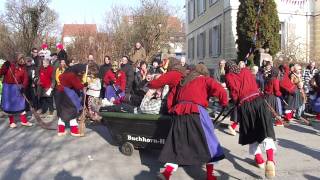 Fasnet Faschingumzug Narrenumzug Tettnang mädchen werden gefangen [upl. by Erick]