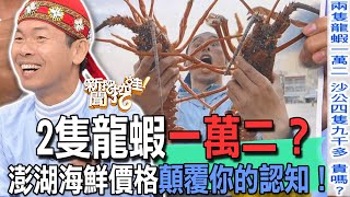 【精華版】2隻龍蝦一萬二？澎湖海鮮價格顛覆你的認知！ [upl. by Bernt]