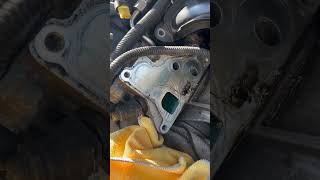 Oil filter housing gasket replacement on a bmw 20132018 [upl. by Home]