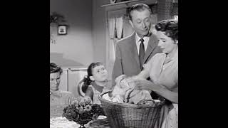 Father Knows Best TV Show 19541960 Robert Young amp Lauren Chapin I don’t own the rights [upl. by Saeger]