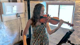 Iron amp Wine  Flightless Bird American Mouth The Fox Music Violin Cover [upl. by Najar586]