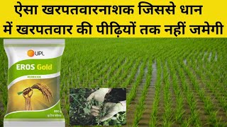 Best paddy herbicide  upl eros gold  धान का खरपतवार नाशक [upl. by Joacimah]