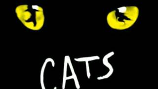 Cats  Musical versione italiana 9Momenti di felicità [upl. by Nylrad]