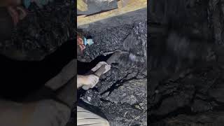 Underground Coal Mining ⛏️  Mines  Coal  Miners miners coalmining mining mines miningindustr [upl. by Ibson]