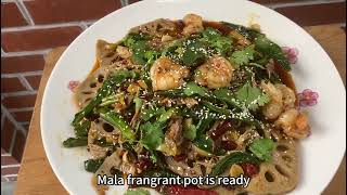 Easy Mala Xiang Guo recipe  麻辣香锅 [upl. by Sidras]