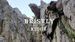 Bristly Ridge Via Sinister Gully [upl. by Llohcin]