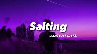 Salting  Slowedreverb   Tiktok Viral Song  Indo Remix [upl. by Othe]