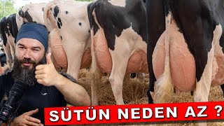 İNEĞİM NEDEN AZ SÜT VERİYOR [upl. by Adihahs]