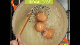 Meal Prep Eggs  New Year Recipes  ACME [upl. by Nnairak]