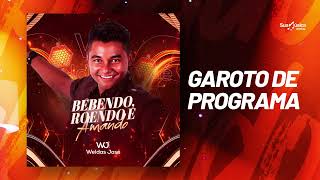 Weldas José  Garoto de Programa Áudio Oficial [upl. by Mauricio542]