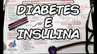 Fisiología Diabetes e Insulina Generalidades [upl. by Euqinmod844]