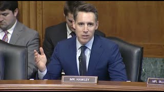 Hawley Calls On Congress To Protect Americans Work Products amp Images From Big Techs AI Data Grab [upl. by Davis]