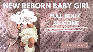 Meet My New Reborn Silicone Baby reborn reborndoll [upl. by Arriek579]