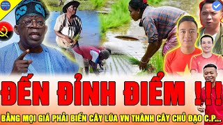 🔴LÃNH ĐẠO ANGOLA CẦU CỨU Team Quang Linh Vlogs THAY THẾ CÂY TRỒNG CHỦ LỰC CP BẰNG CÂY LÚA NƯỚC VIỆT [upl. by Paten800]