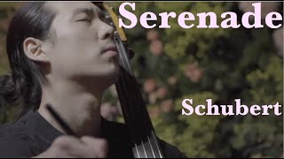 Schubert  Serenade Double Bass Minje Sung [upl. by Fasto]