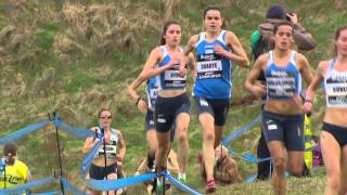 Bupa Great Edinburgh XCountry 2013 Part 2 of 2 [upl. by Kalina]