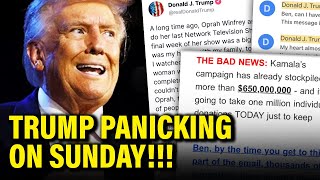 OMG Trump FREAKS OUT Sunday after VERY BAD NEWS [upl. by Nnylesor985]