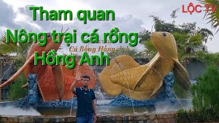 Tham quan Nông trại cá rồng Hồng Anh  LỘC TV [upl. by Eillek]