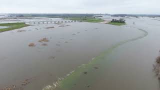 Reevediep stroomt mee met hoogwater IJssel [upl. by Rosina]