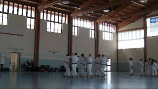 Karate Bassai Sho kata bunkai  M° Alessandro Caizzo [upl. by Acirrehs]