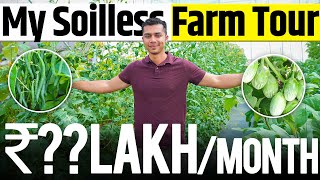 REVEALED Hydroponics में Beans Brinjal Cucumber amp Cherry Tomato  Agritalk By Abhinav Roy [upl. by Haela]