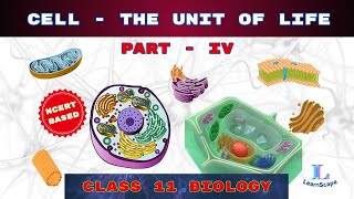 Cell  The Unit Of Life  PART  IV class 11 Biology  NCERT  COHSEM  CBSE [upl. by Zetana]