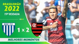 AVAÍ 1 X 2 FLAMENGO  MELHORES MOMENTOS  19ª RODADA BRASILEIRÃO 2022  geglobo [upl. by Perri]