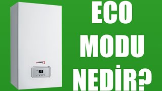 Protherm Kombi Eco Modu Nedir [upl. by Mayyahk]