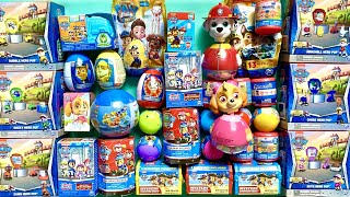 HUGE PAW PATROL SURPRISE TOYS 🐶 Unboxing Mystery Boxes Blind Bags Satisfying ASMR Collection [upl. by Noval138]